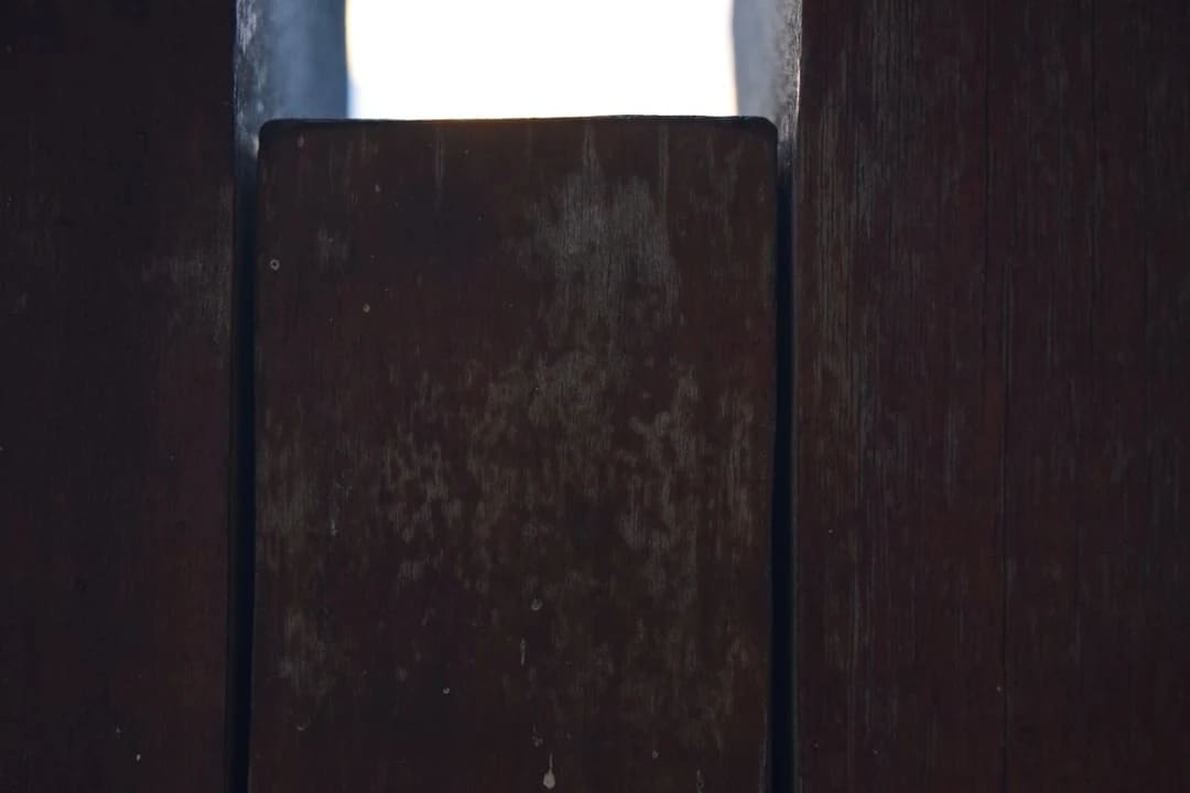 不缴税者不得投票:这位CEO的票,是白送的