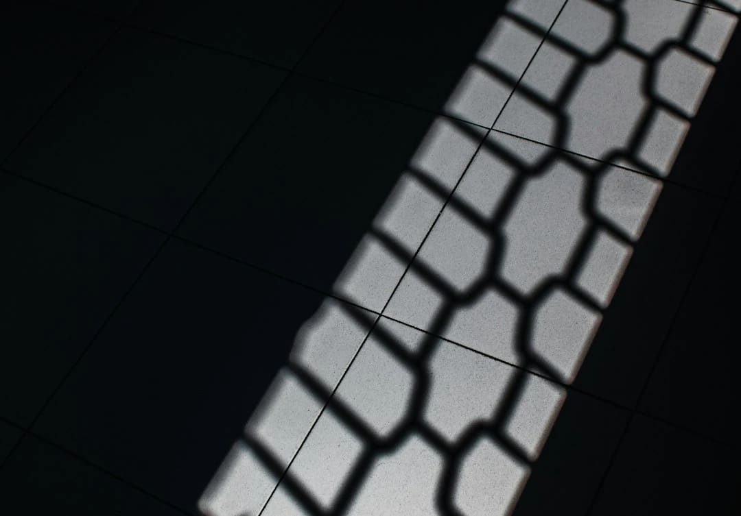1 bit 不是重点,重点是训练之前那一下