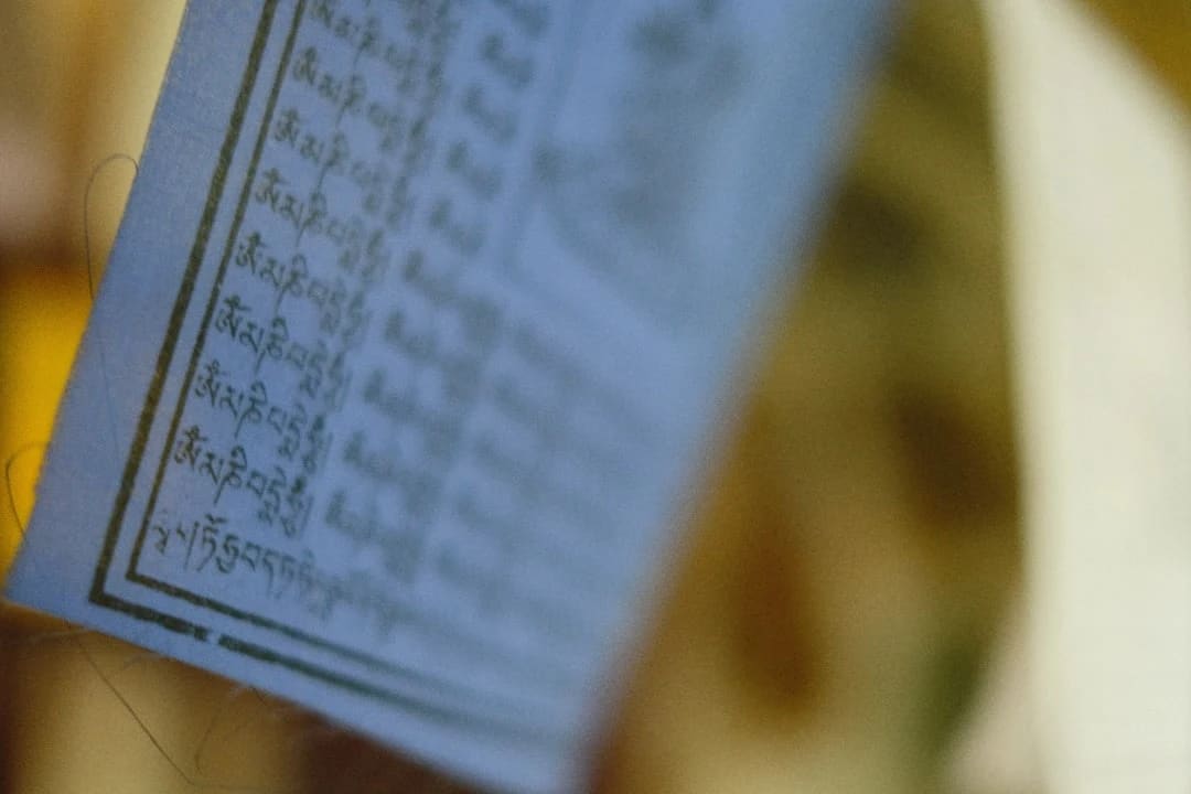 本周小抄:水印测试没人猜得出来,这本身不是新闻
